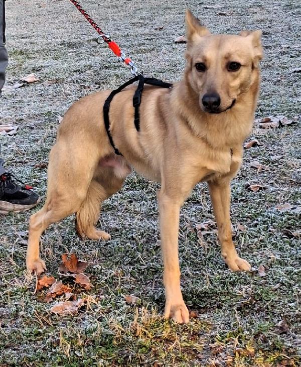 MANUEL DOLCISSIMO CAGNOLINO Foto 2